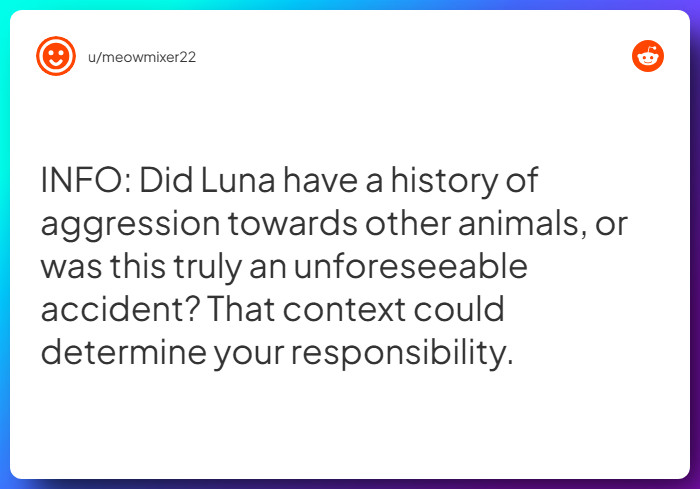 Comment from u/meowmixer22