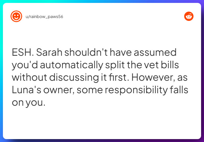 Comment from u/rainbow_paws56