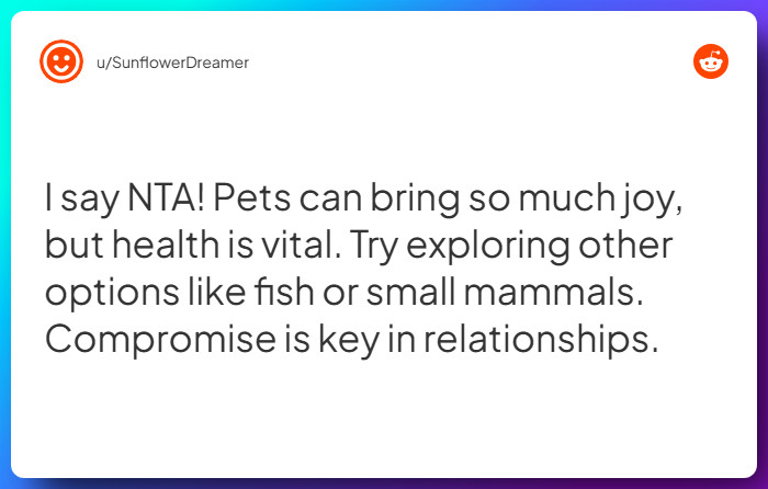 Comment from u/SunflowerDreamer