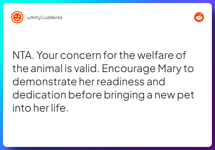 Comment from u/KittyCuddler66