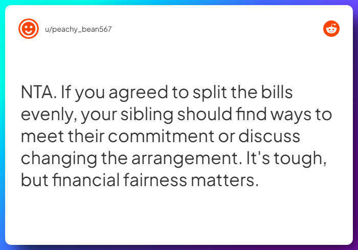 Comment from u/peachy_bean567