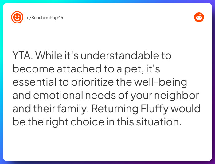 Comment from u/SunshinePup45