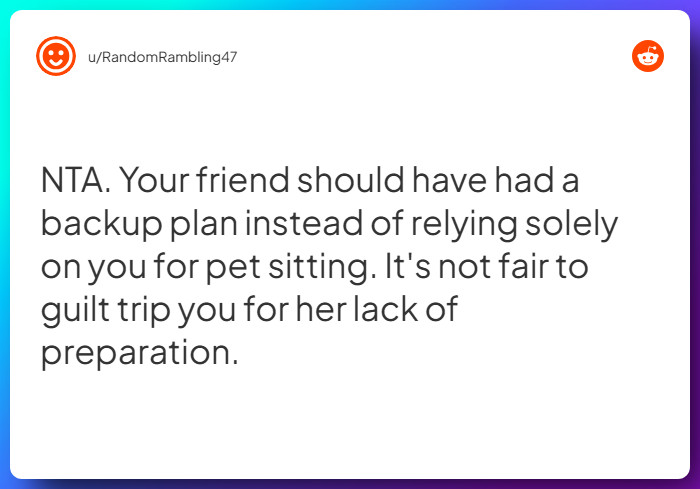 Comment from u/RandomRambling47