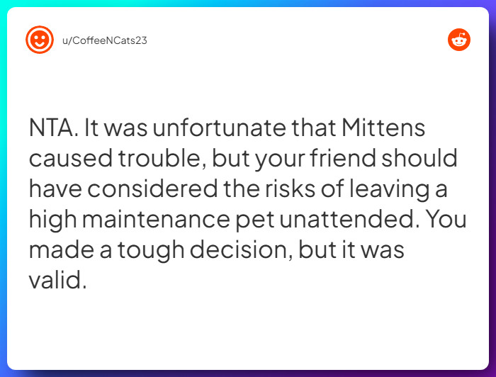 Comment from u/CoffeeNCats23