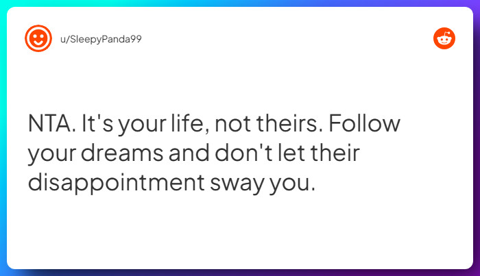 Comment from u/SleepyPanda99