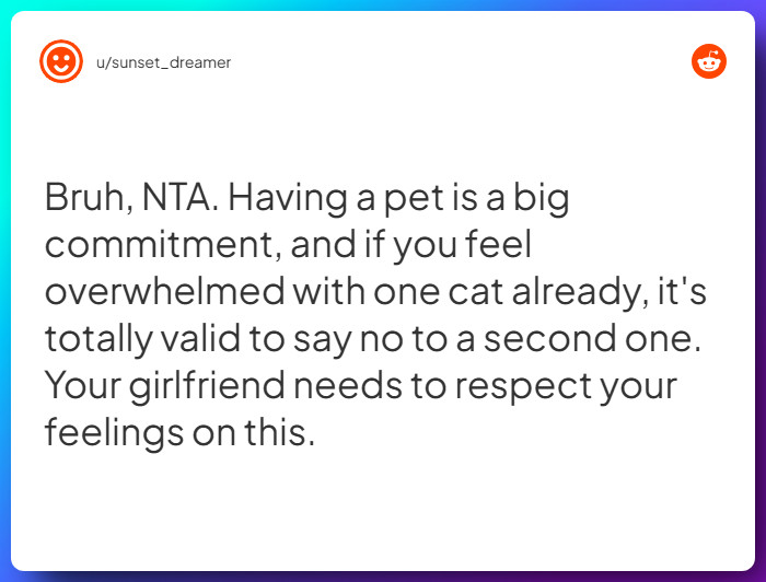 Comment from u/sunset_dreamer