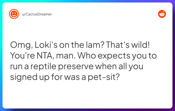 Comment from u/CactusDreamer