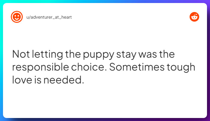 Comment from u/adventurer_at_heart