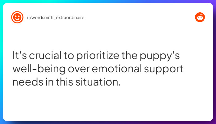 Comment from u/wordsmith_extraordinaire