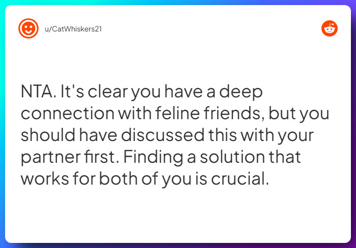 Comment from u/CatWhiskers21