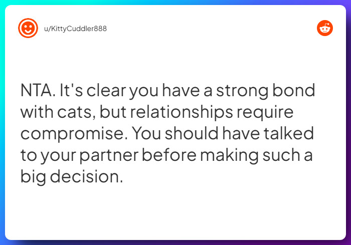 Comment from u/KittyCuddler888