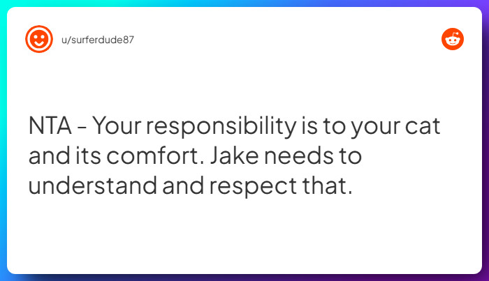 Comment from u/surferdude87