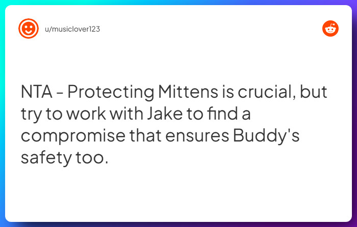 Comment from u/musiclover123