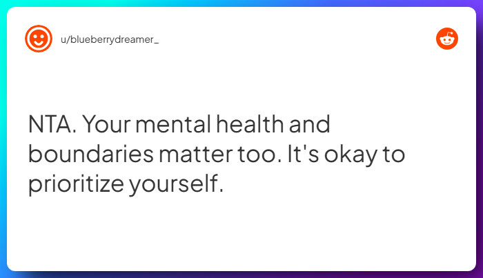 Comment from u/blueberrydreamer_