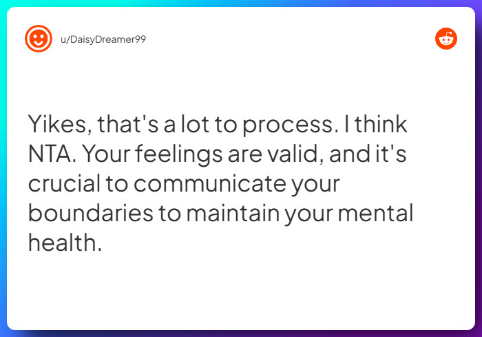 Comment from u/DaisyDreamer99