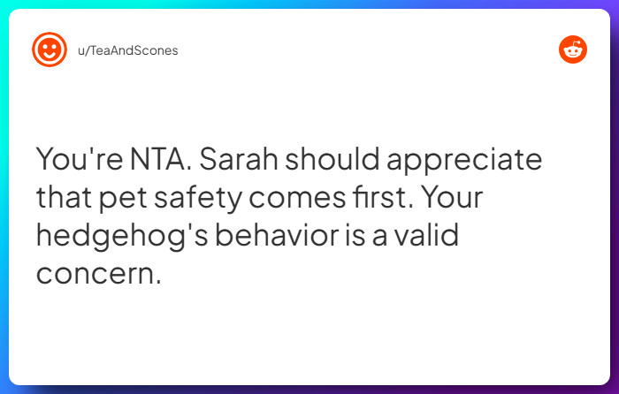 Comment from u/TeaAndScones