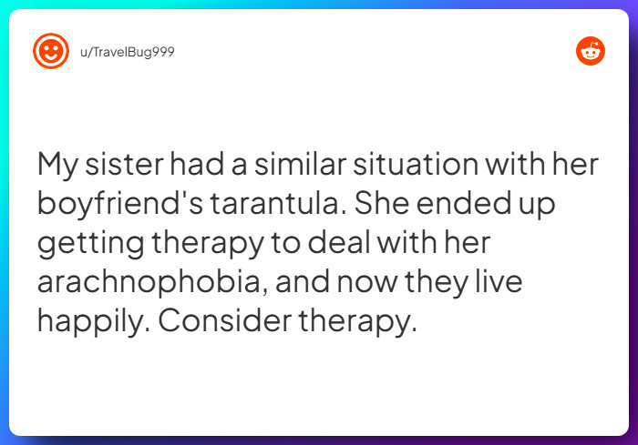 Comment from u/TravelBug999