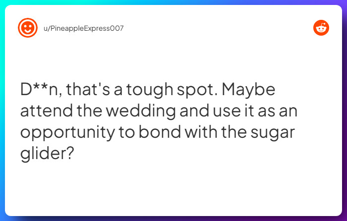 Comment from u/PineappleExpress007