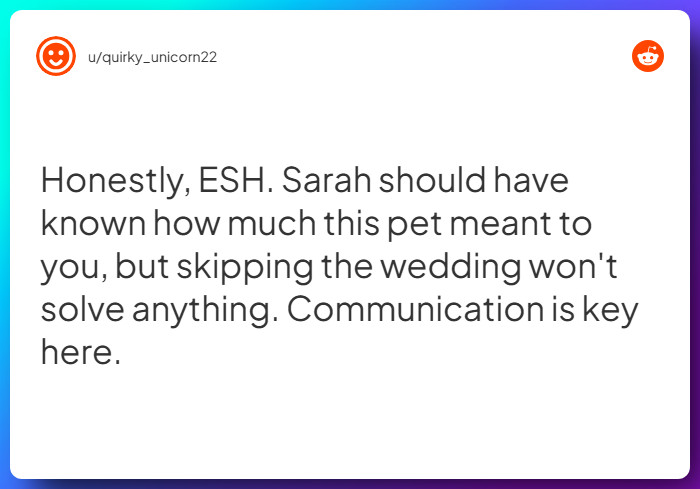 Comment from u/quirky_unicorn22