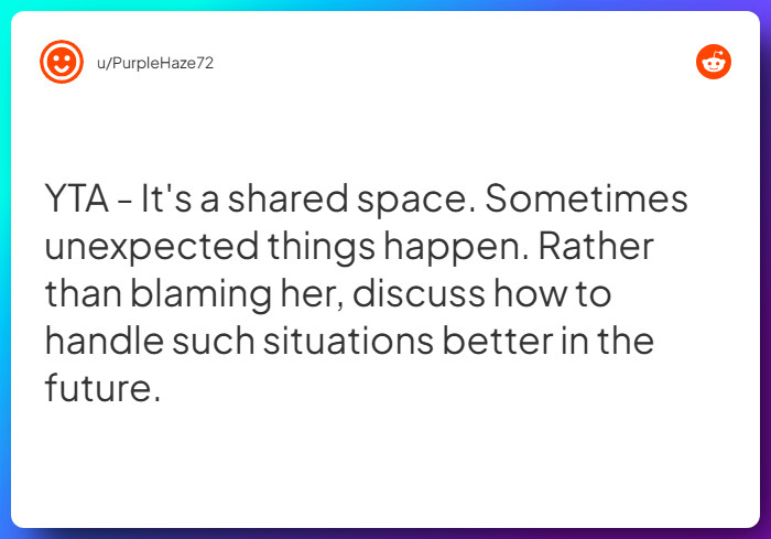 Comment from u/PurpleHaze72