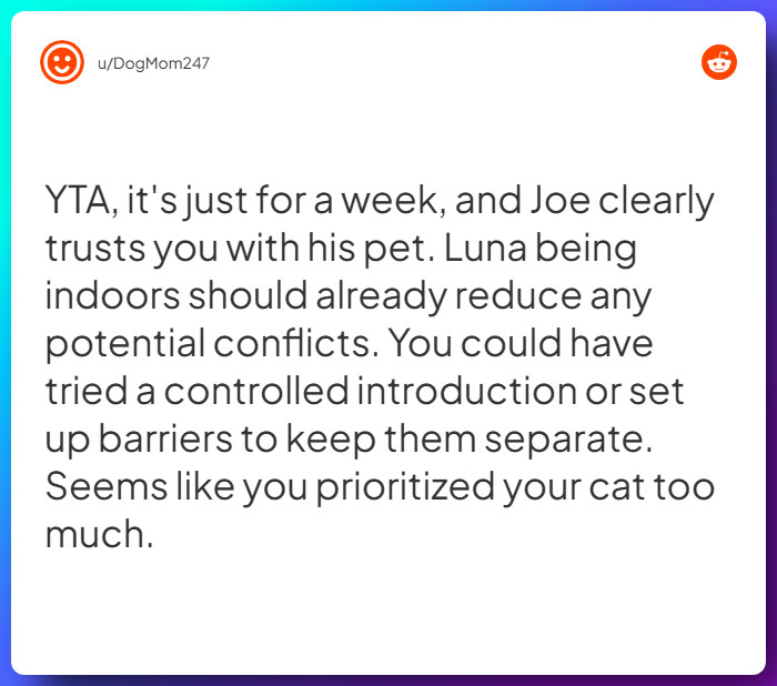 Comment from u/DogMom247