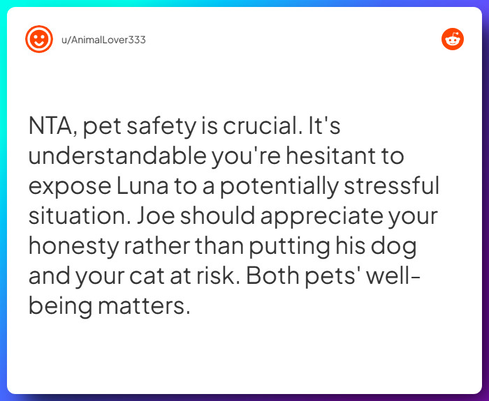 Comment from u/AnimalLover333