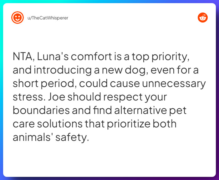 Comment from u/TheCatWhisperer