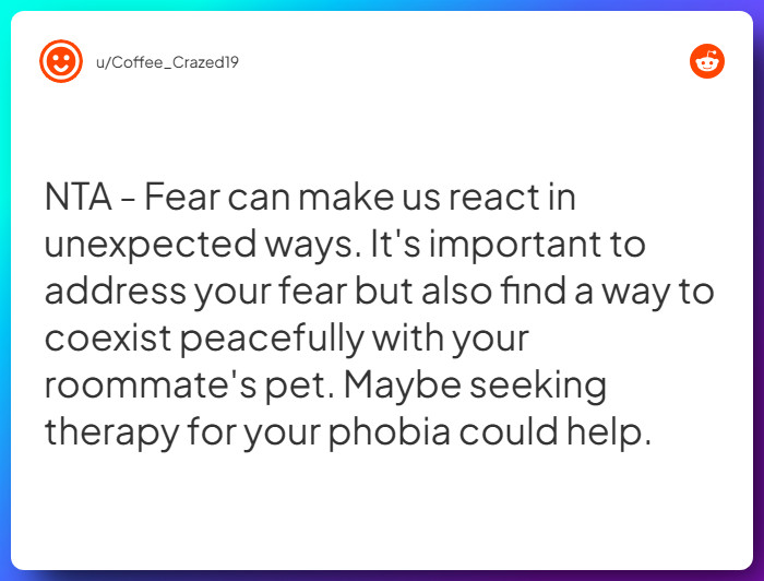 Comment from u/Coffee_Crazed19