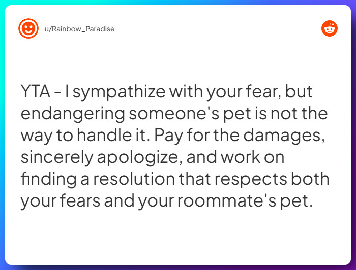 Comment from u/Rainbow_Paradise