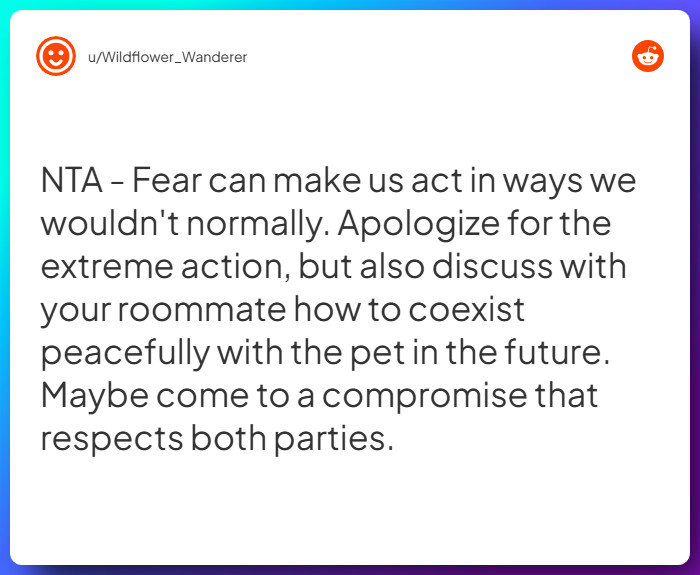 Comment from u/Wildflower_Wanderer