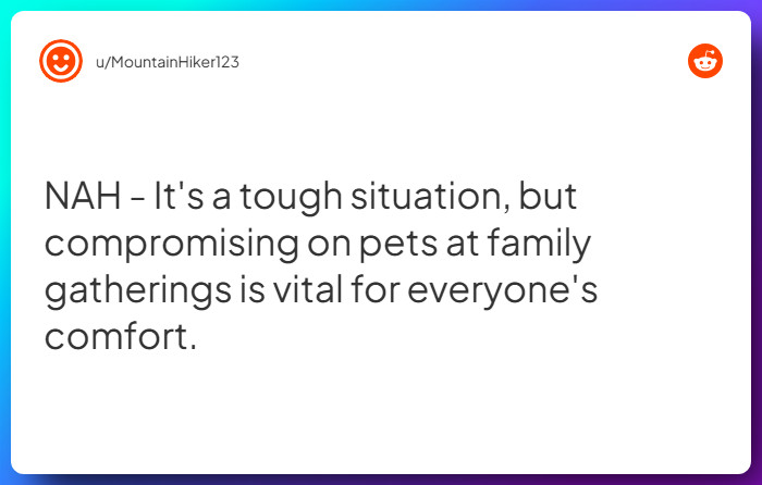 Comment from u/MountainHiker123