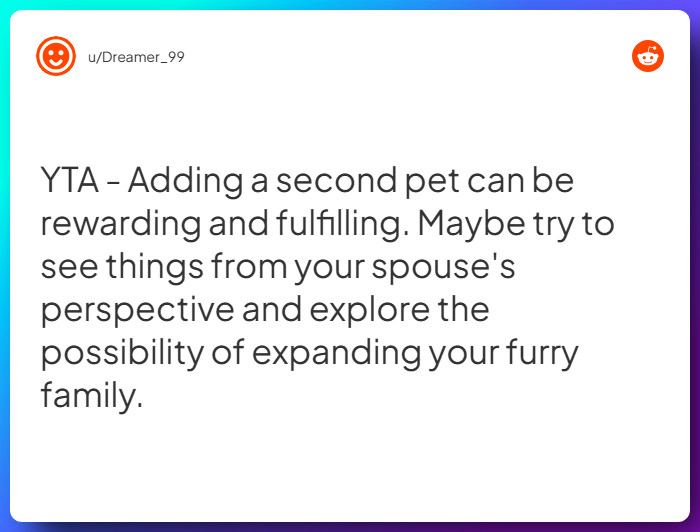 Comment from u/Dreamer_99