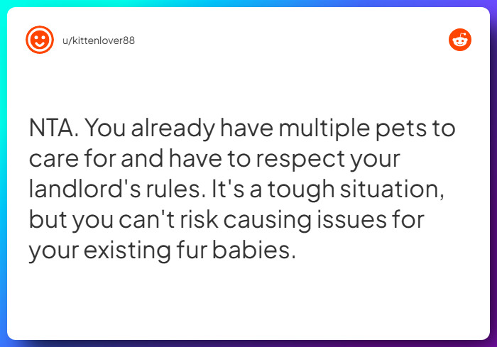 Comment from u/kittenlover88