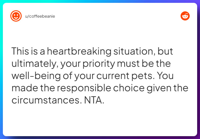 Comment from u/coffeebeanie