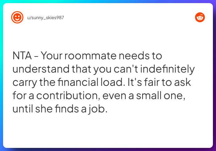 Comment from u/sunny_skies987