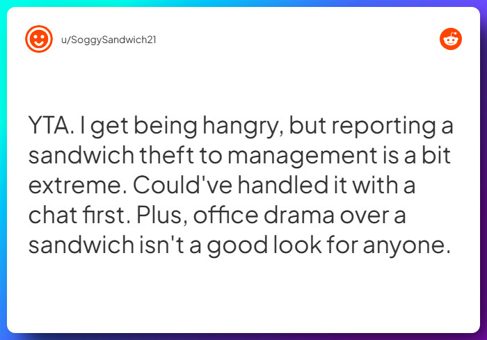 Comment from u/SoggySandwich21