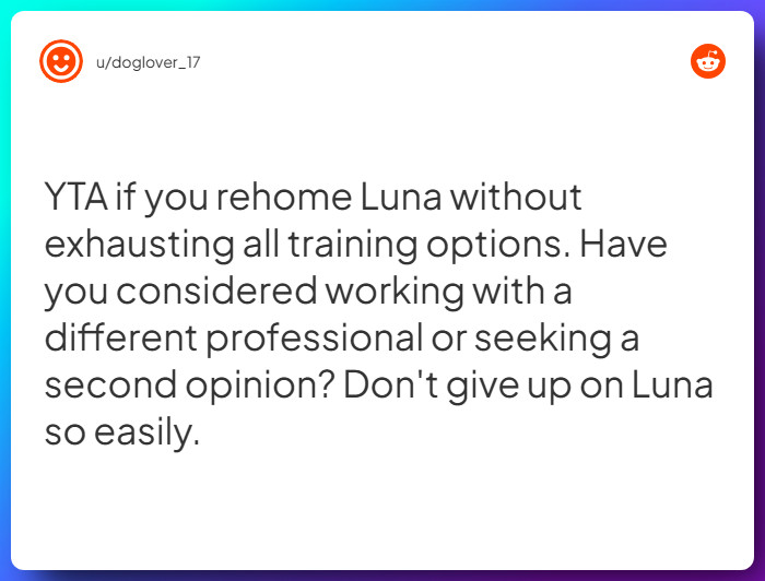 Comment from u/doglover_17