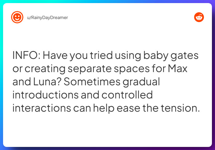 Comment from u/RainyDayDreamer