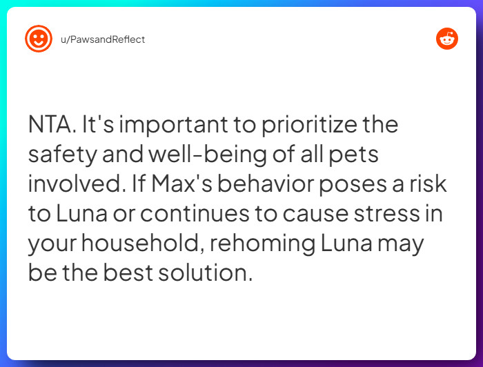 Comment from u/PawsandReflect