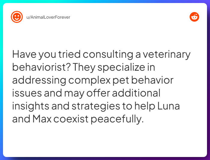 Comment from u/AnimalLoverForever