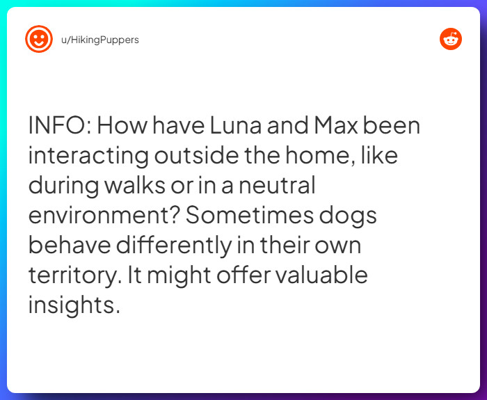 Comment from u/HikingPuppers