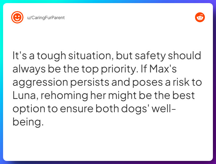 Comment from u/CaringFurParent