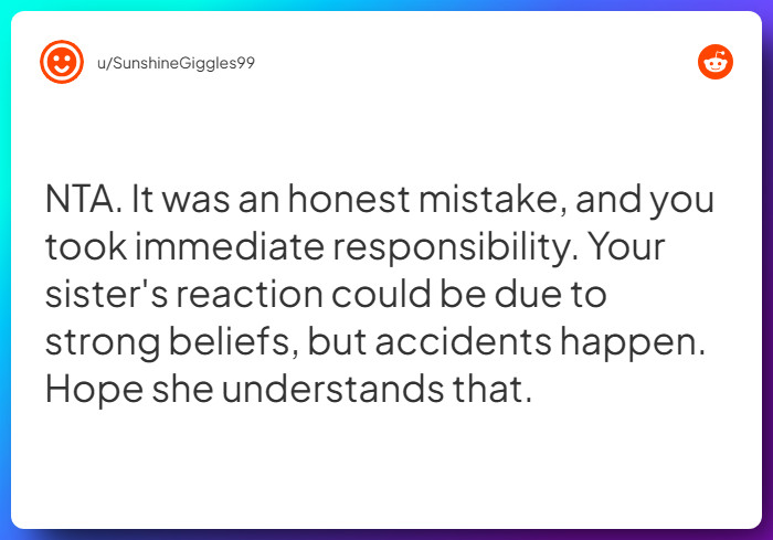 Comment from u/SunshineGiggles99