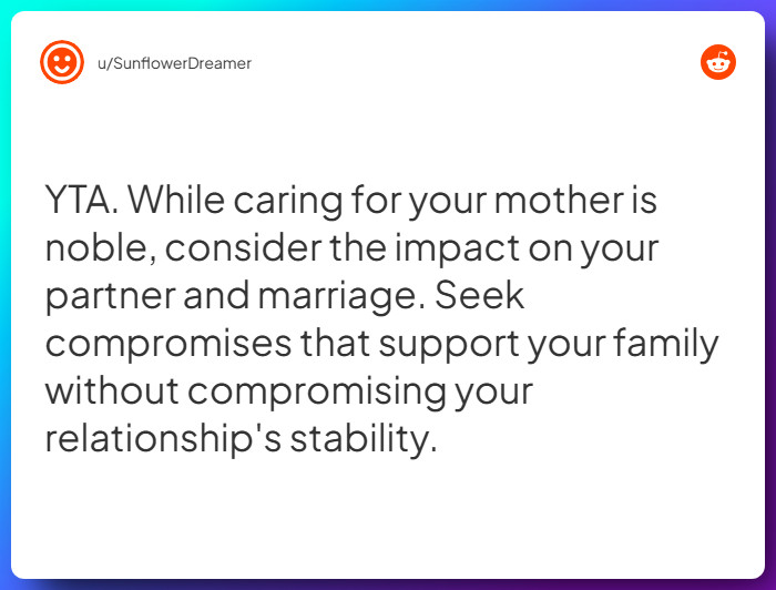 Comment from u/SunflowerDreamer