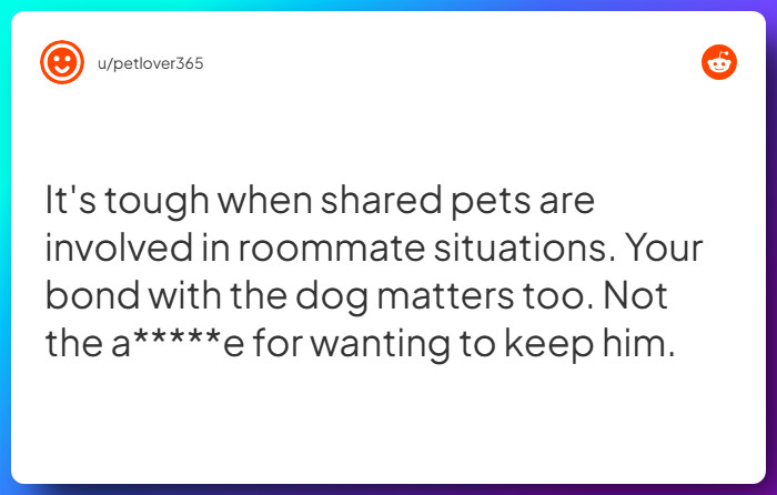 Comment from u/petlover365
