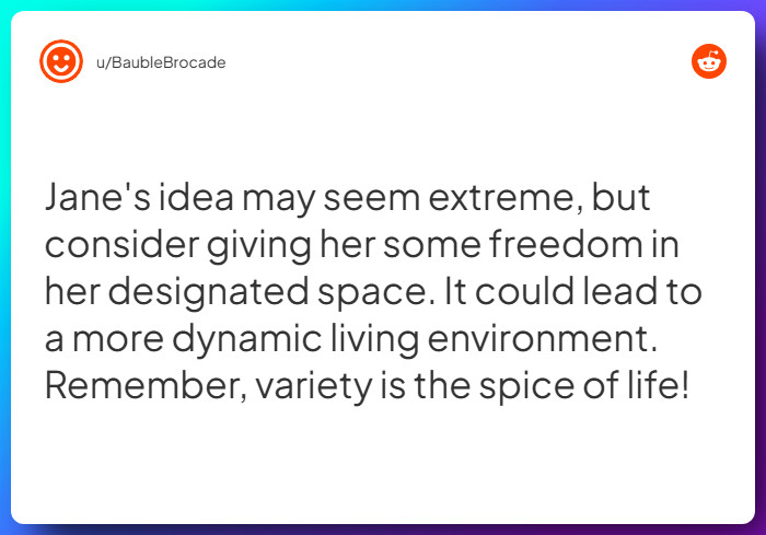 Comment from u/BaubleBrocade