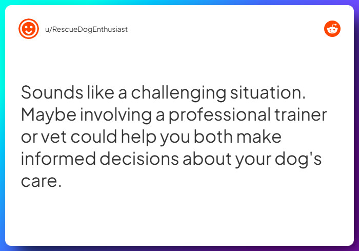 Comment from u/RescueDogEnthusiast