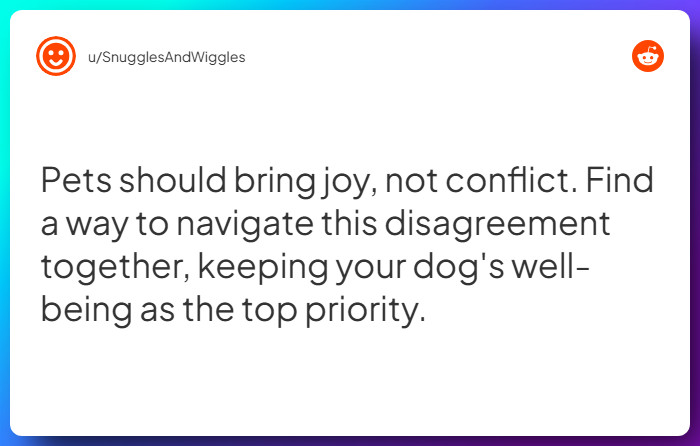 Comment from u/SnugglesAndWiggles