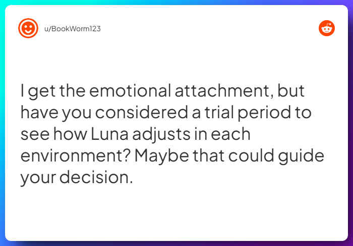 Comment from u/BookWorm123