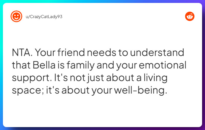 Comment from u/CrazyCatLady93